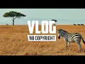 Download Lagu Dizaro - Safari (Vlog No Copyright Music)