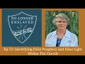 Download Lagu Ep 55: Identifying False Prophecy and False Light Within The Church