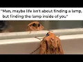 BUG MEMES