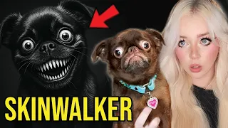 PUPPY REACTS TO SCARIEST YOUTUBE SHORTS ON THE INTERNET....