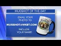 Mug Shot of the Day - John from Winona