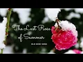 庭の千草 The Last Rose of Summer