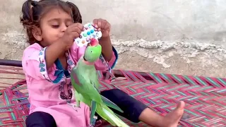 Aliza Ne Tota Ko Oper Utha Liya