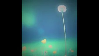 dandelion. (lofi instrumental)