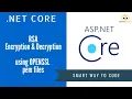 Asymmetric Encryption and Decryption in NET Core using RSA Key Pairs