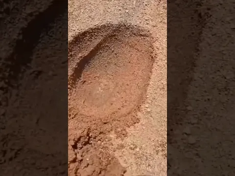 Miracle Of ALLAH 😱 #shorts #viral #islam