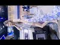 Download Lagu 2025 Guangdong-Hong Kong-Macao Greater Bay Area Auto Show Beautyleg Auto Showgirl Car Model 40 #五月儿