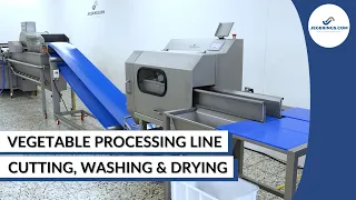 Vegetable Processing Line for Small to Medium-Sized Companies