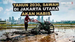 Wajah Pertanian di Kota Metropolitan | GARIS DEPAN