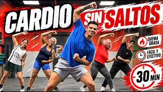 Cardio Abdomen y Cintura - Sin Saltos y de´Pie 🔥 ejercicios para bajar de peso DESDE CASA