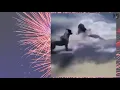 Florida Man Fourth of July Compilation 2019