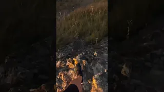                           دندنها