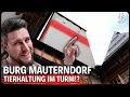 Download Lagu Burg Mauterndorf – Tiere im 44m hohen Turm? | Die ganze Geschichte