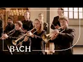 Download Lagu Bach - Cantate Gott, man lobet dich... BWV 120 - Van Veldhoven | Nederlandse Bachvereniging