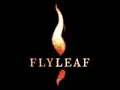 there for you flyleaf lyrics(depscription)
