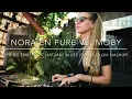 Nora En Pure vs. Moby - Spring Embers vs. Natural Blues (SHANE OLGIX Mashup)
