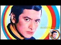 UN MUCHACHO COMO YO - ( Palito Ortega ) canción HD