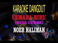 Download Lagu Karaoke Cemara Biru Nada Cewek - Noer Halimah (Karaoke Dangdut Tanpa Vocal)