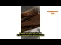 Review YASHE Food Dehydrator Machine 5 Stainless Steel Trays Food Dryer 48H Timer and Temperature