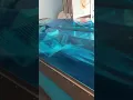 Monterey water massage