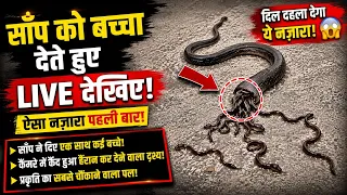 दिल दहला देगा ये नजारा......🤨😧
