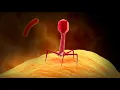 Viruses Molecular Hijackers