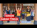 Download Lagu SENAM DARAH TINGGI - JANTUNG 💓 - KOLESTEROL - GULA