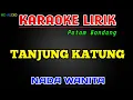 Download Lagu Tanjung Katung - Patam Gondang [Karaoke] Nada Wanita