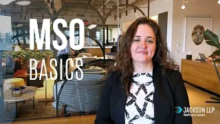 MSO Management Services Organization Basics Jackson LLP Healthcare Attorneys