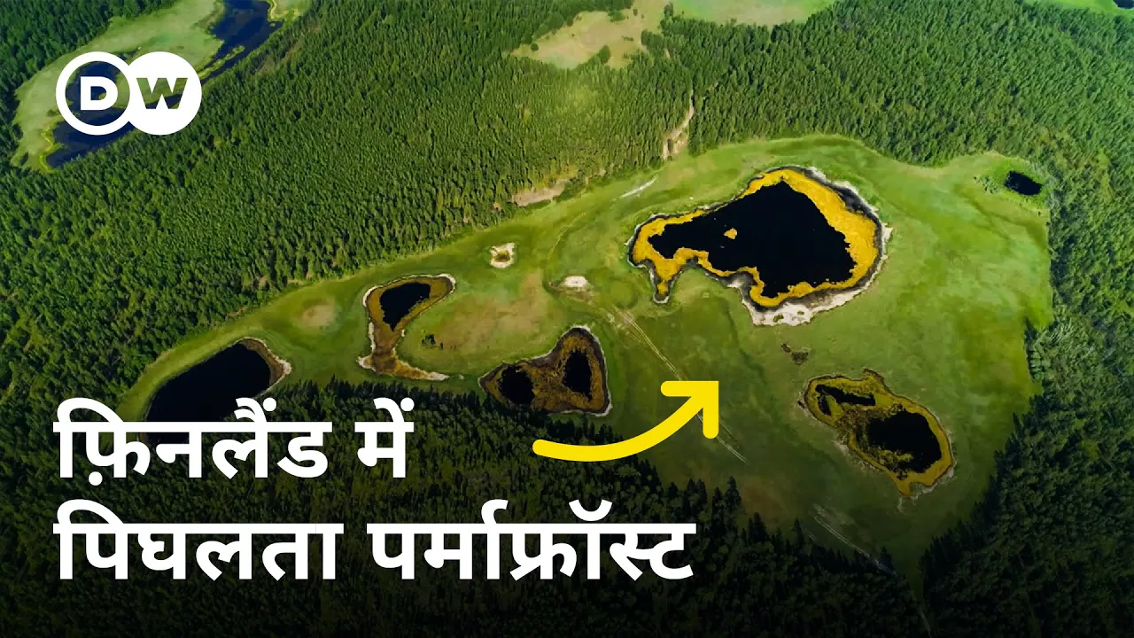 पिघलते वेटलैंड्स: जलवायु परिवर्तन को कैसे धीमा कर सकती है प्रकृति?। DW Documentary हिन्दी