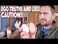 Tractor Supply Chicken Feed No Eggs The TRUTH And A Warning