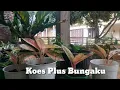 Download Lagu BUNGAKU KOES PLUS