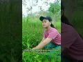 Download Lagu yang berjuang kalah sama yang beruang.....!!