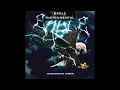 Eagle Instrumental by Transformation Worship