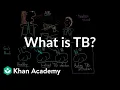 What is TB Infectious diseases NCLEX-RN Khan Academy