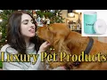 Luxury Pet Items Tiffany Versace Gucci Prada and Hermes