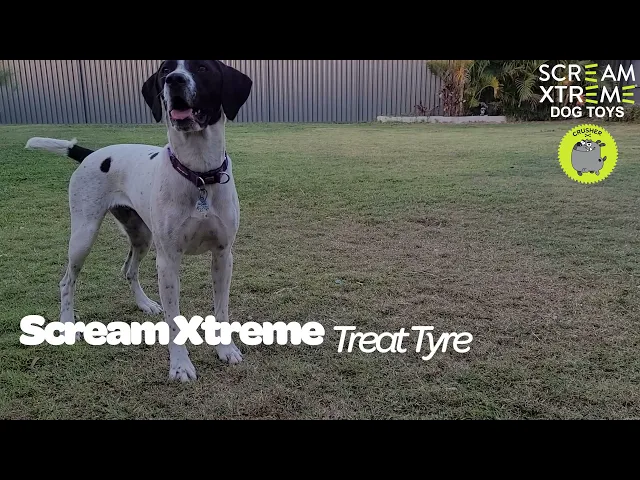 Scream Xtreme Treat Tyre