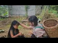 Download Lagu Hien Nuong pick up snails make money: sharing a loaf of bread with a poor girl.