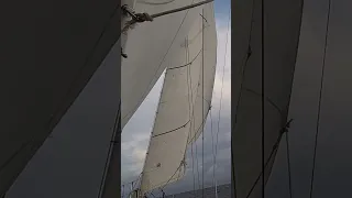 Ocean Sailing ⛵️