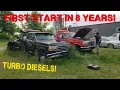 Can We Get ABANDONED Tow Trucks to RUN - Part 1