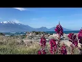 Download Lagu Saudade, Saudade - MARO (Hannah Evi Cover) - Lyric video