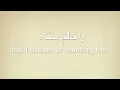 Min Alby Baghani - Mohamed Hamaki Lyrics & Translation - من قلبى بغنى