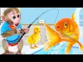 Download Lagu Monyet Bon Bon Imut memanen buah-buahan dan memperbaiki sepeda di jalan pulang ke rumah