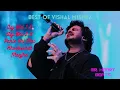 Download Lagu NON STOP BEST OF VISHAL MISHRA PLAYLIST 2024 SUPERHIT SONGS SLOWED REVERB