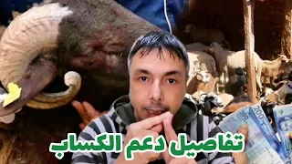 دعم الكساب و الماشية المبلغ و الشروط و طرق صرف الدعم من الوكالات 