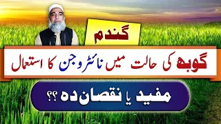Use of Nitrogen at Booting Stage in Wheat || Crop Reformer