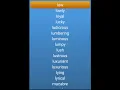 English Adjectives Words L to M