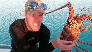 Spiny Lobster Catch During Cold Front | Sailboat Story 34