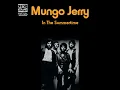 In the Summertime - Mungo Jerry