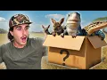 Buying The Creepiest Live Animal Box Off The Web